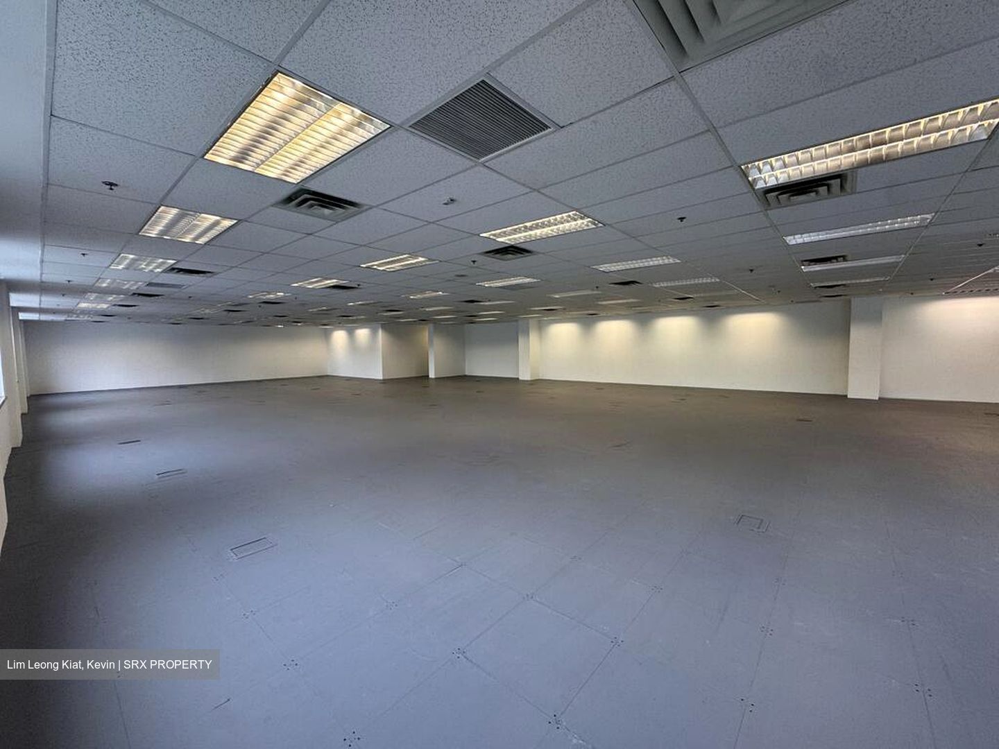 Haw Par Centre (D9), Office #496016741